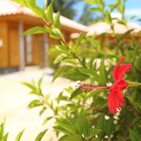 Villa Tabinoteitaku Okinawa Nakijin Homann Concept Esterno foto